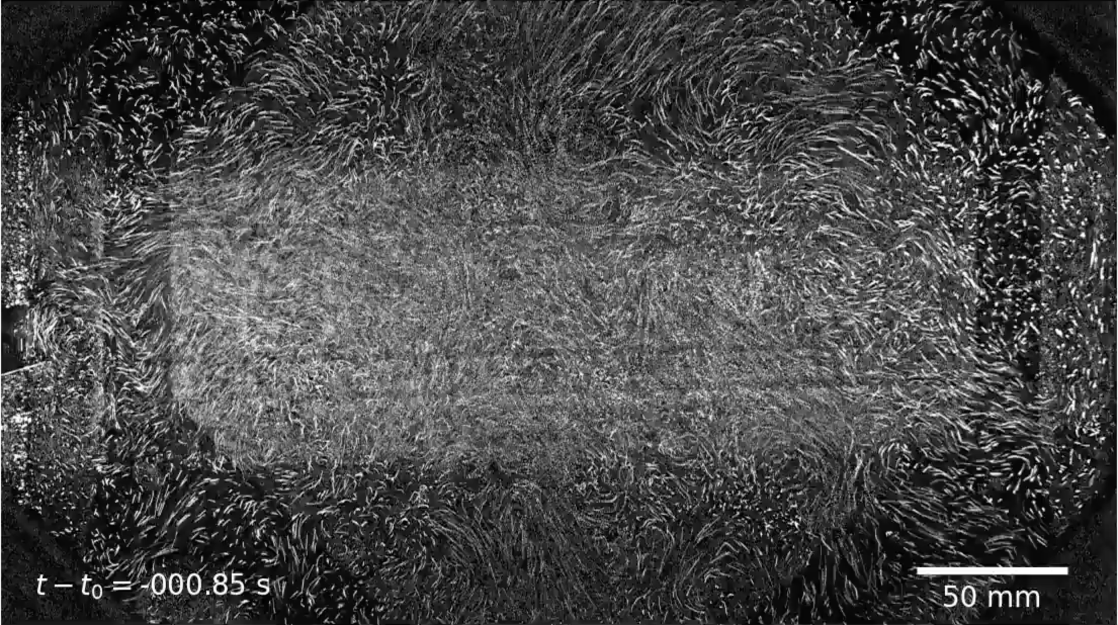 One-shot movie of decat of turbulence (video)