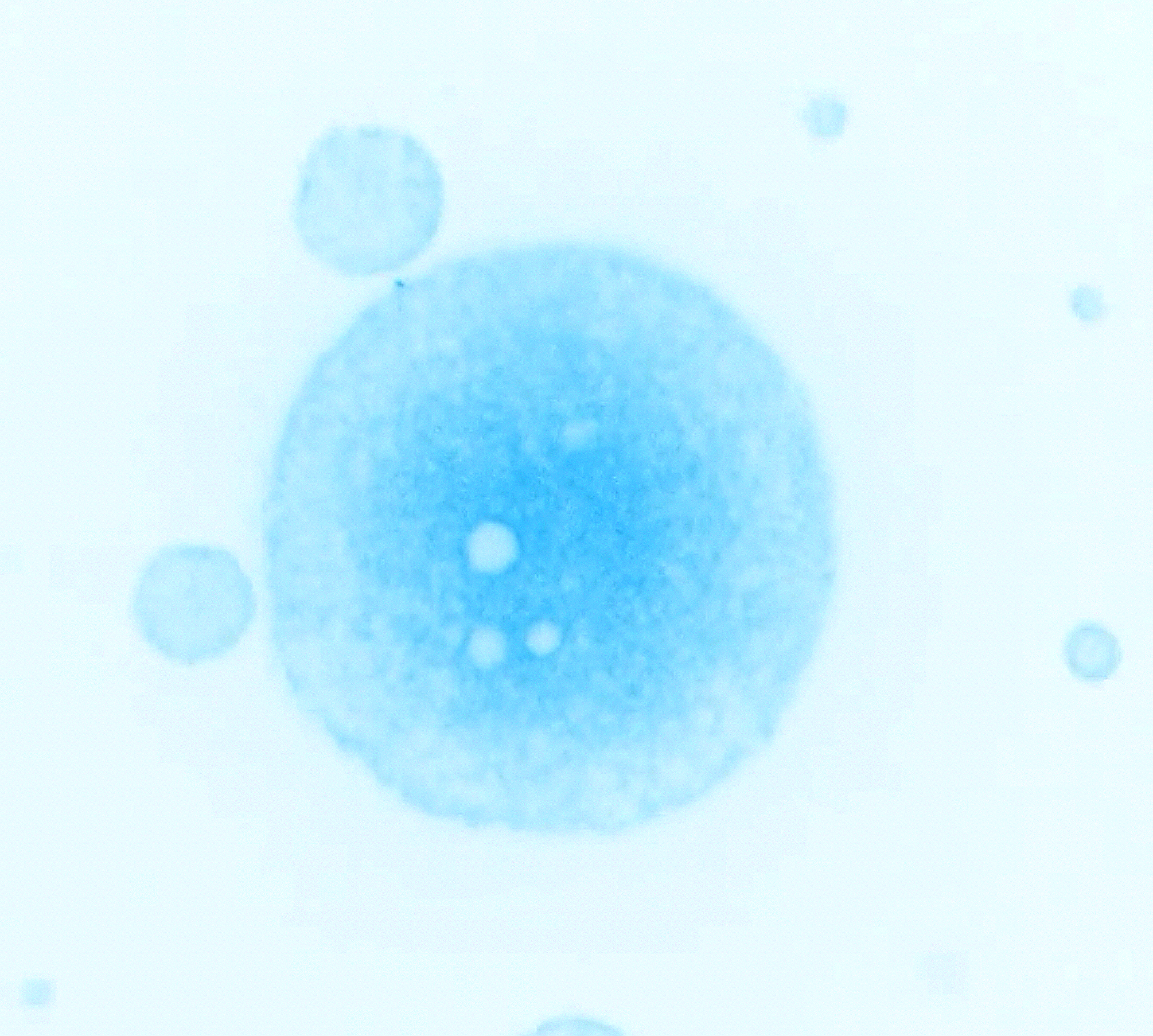 [Biomolecular Condensates]